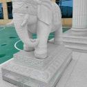 抚州 白麻花岗岩动物异形石雕-大象