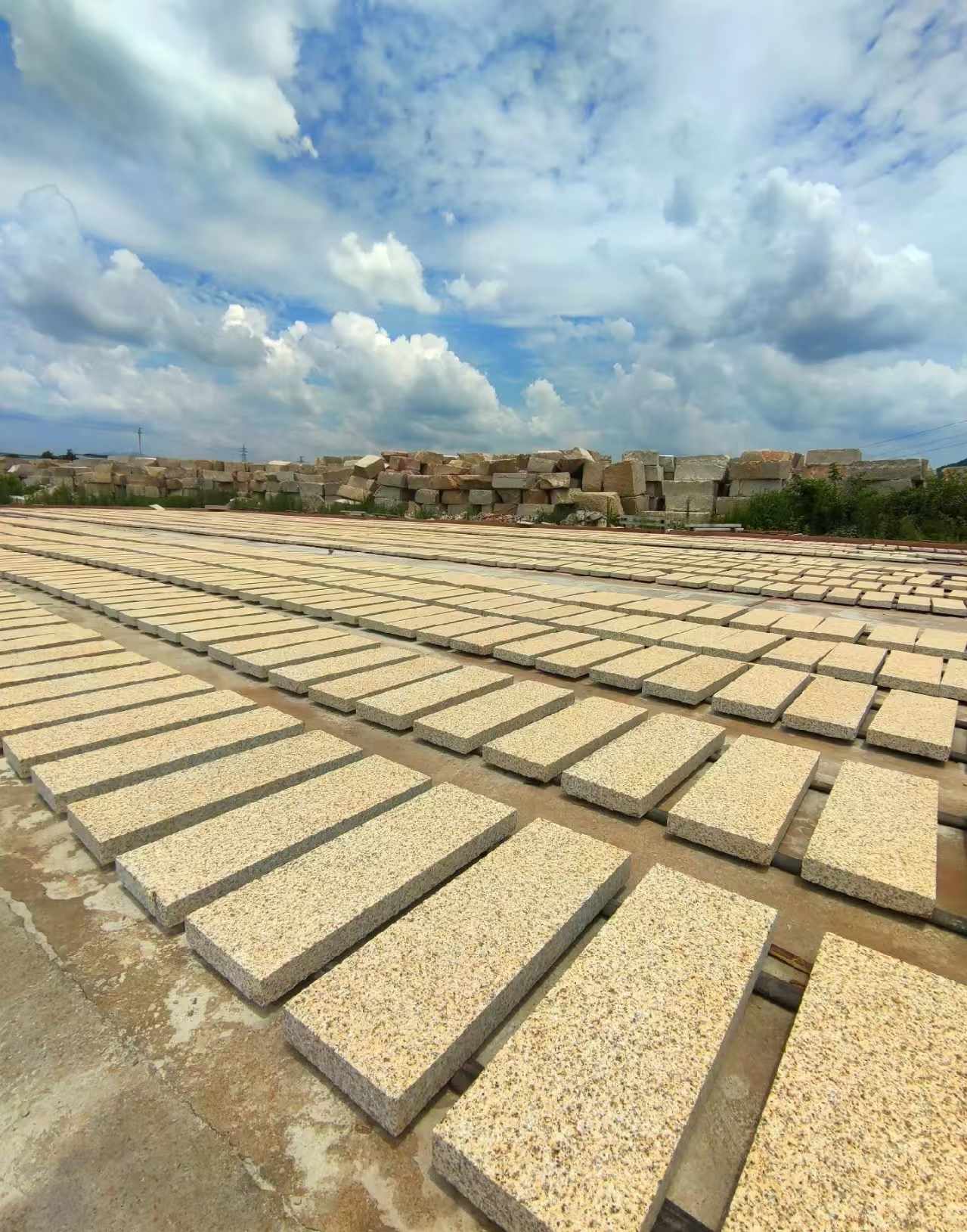 抚州 黄金麻荔枝面花岗岩石材地铺石防护中
