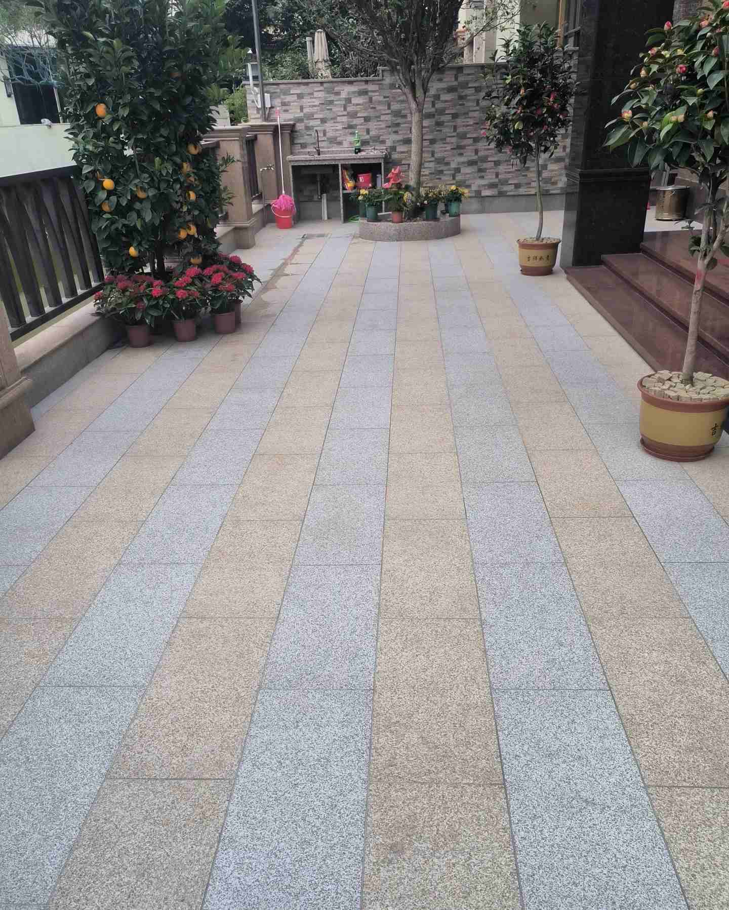 抚州 黄金麻白麻荔枝面庭院铺装展示